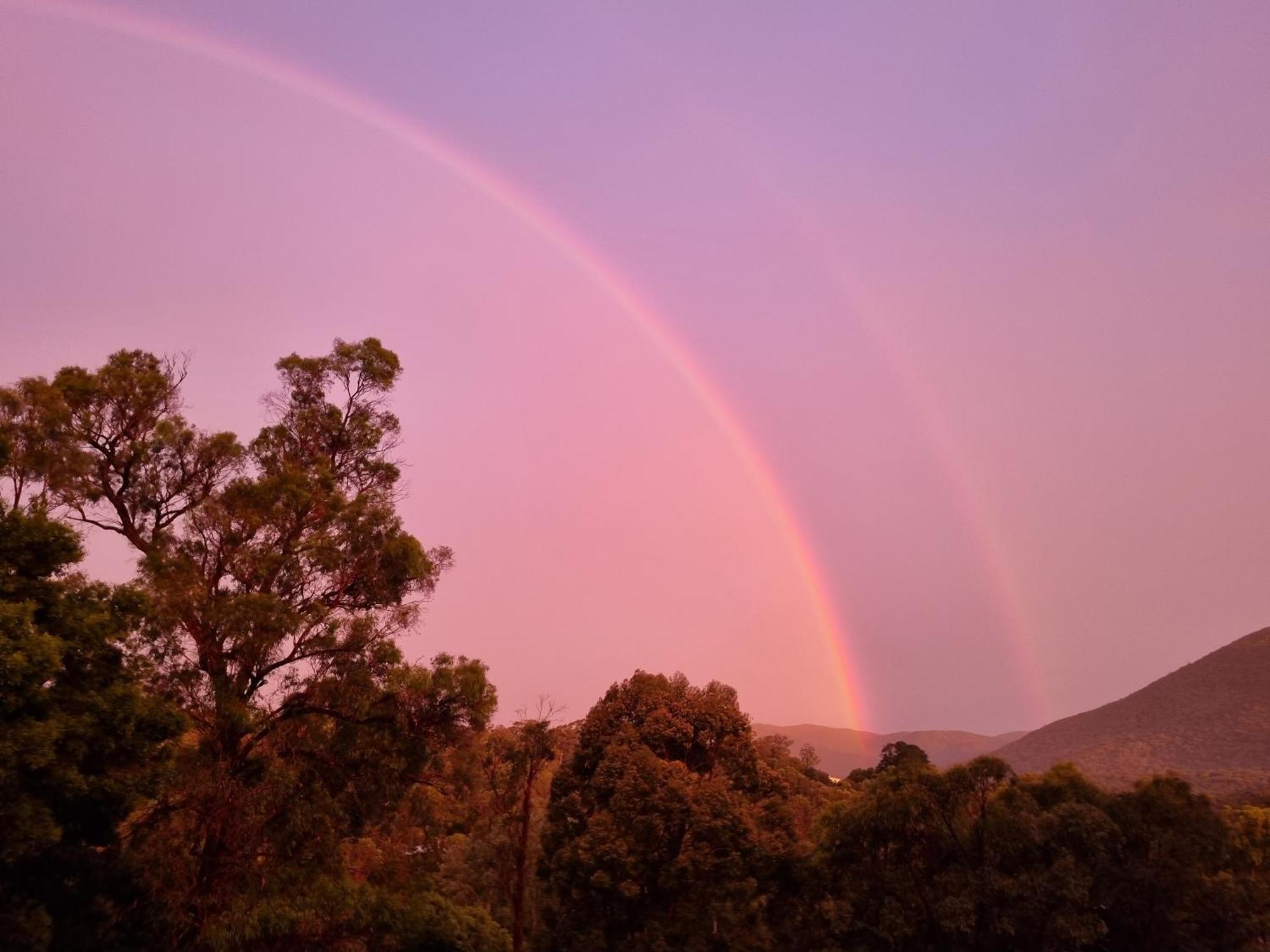 Rosebank Guesthouse Healesville Exteriér fotografie