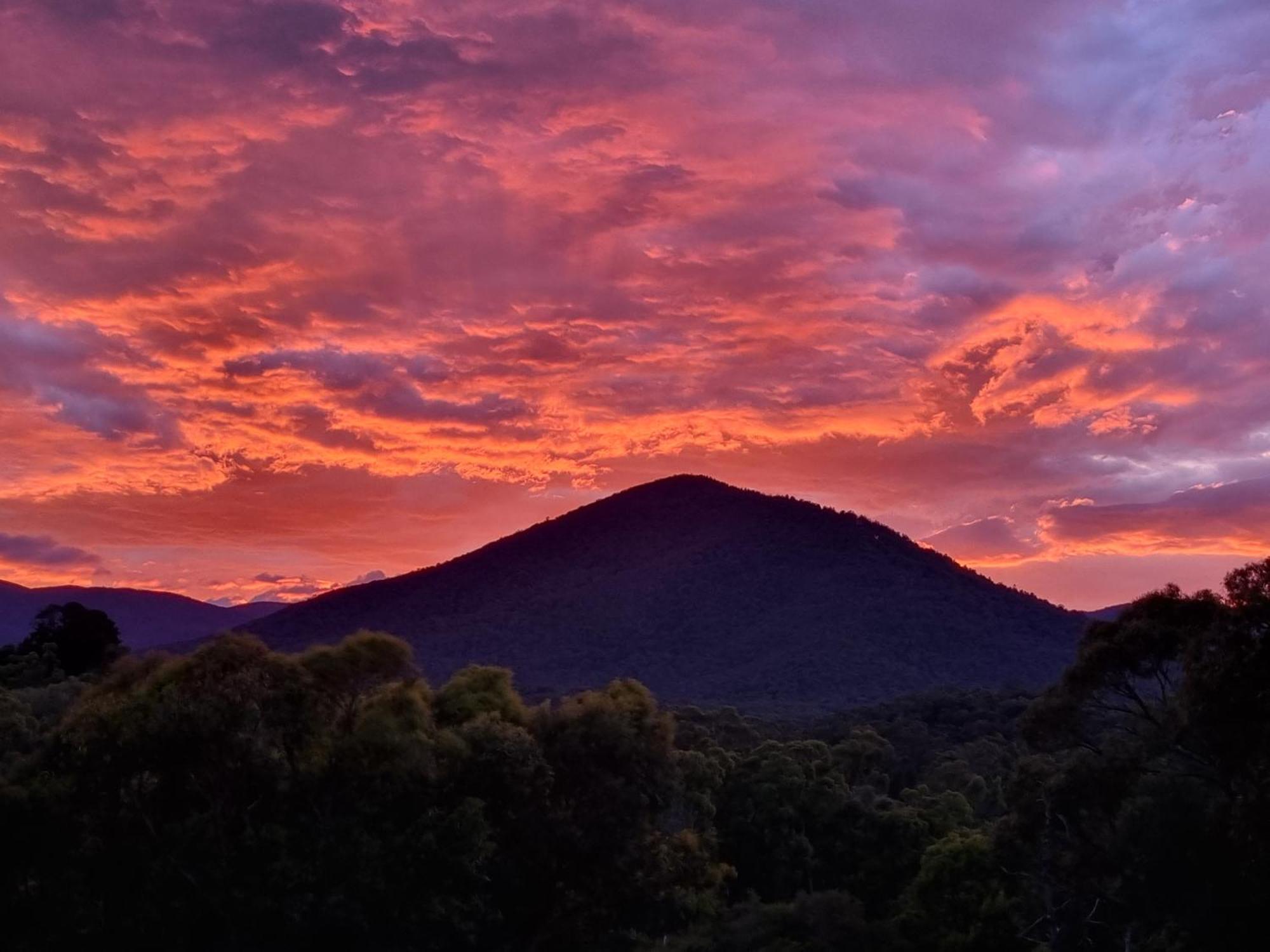 Rosebank Guesthouse Healesville Exteriér fotografie